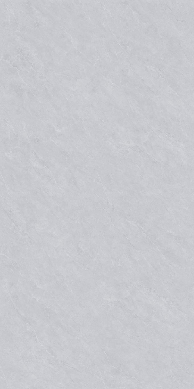 MSA6Z005（纳尔灰）