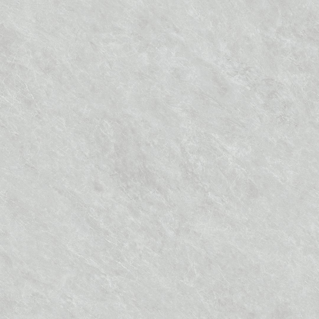 MSA8G010-安德鲁斯