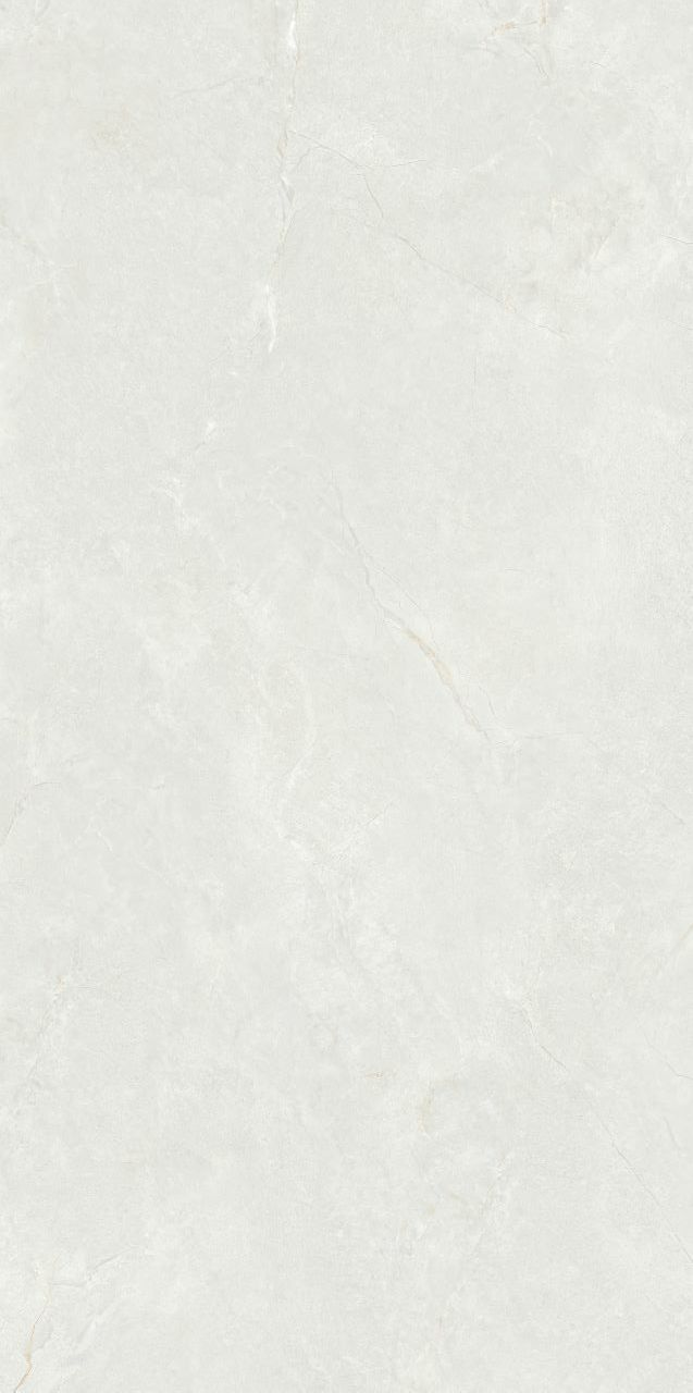 MSA612E13